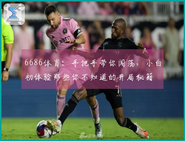 6686体育：手把手带你闯荡，小白初体验那些你不知道的开局秘籍