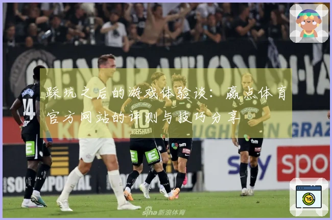 踩坑之后的游戏体验谈：赢点体育官方网站的评测与技巧分享