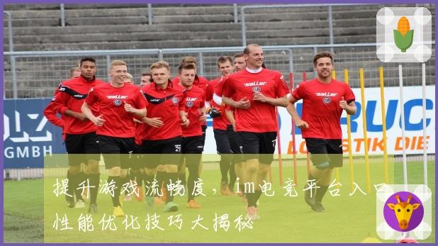 提升游戏流畅度，im电竞平台入口性能优化技巧大揭秘